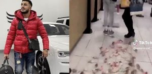 Was TikToker behind McDonald's Pro-Palestine Mice Stunt f