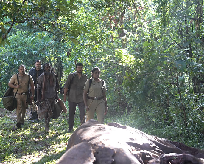 Alia Bhatt to Executive Produce Amazon Original Series 'Poacher'