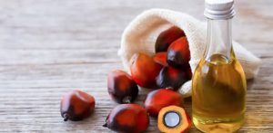 Why Palm Oil is Harmful for You f