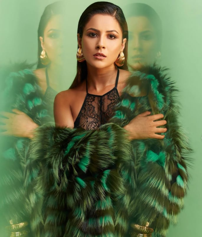10 Stylish Looks of Shehnaaz Gill You Must See - 1