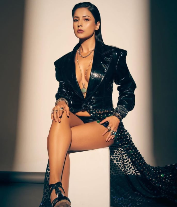 10 Stylish Looks of Shehnaaz Gill You Must See - 2