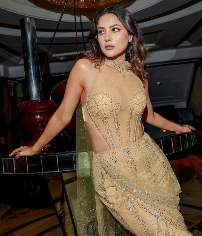 10 Stylish Looks of Shehnaaz Gill You Must See - 6 (1)