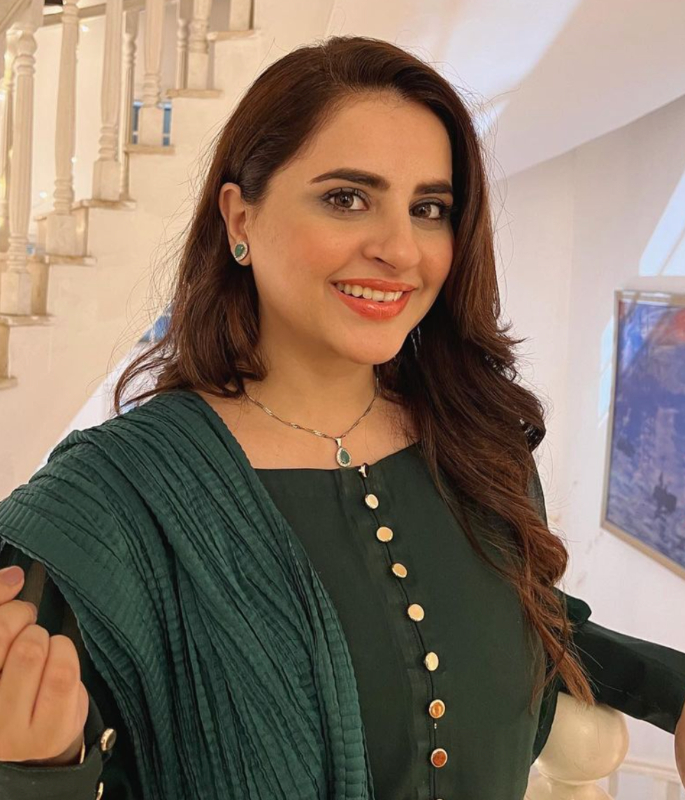 10 Pakistani Actors who Refused Offers from Bollywood - 6