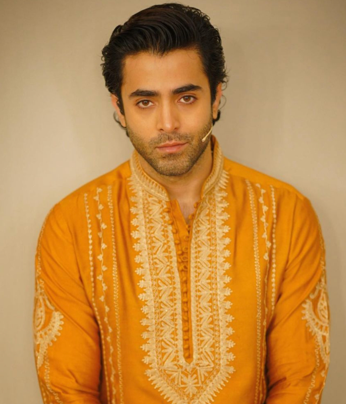 10 Pakistani Actors who Refused Offers from Bollywood - 7