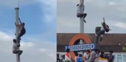 Indian Fan suffers Horror Fall whilst celebrating T20 World Cup
