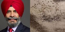 Labour MP rents out Flats with Ant Infestations & Black Mould