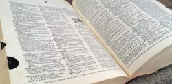 The History of the English Language