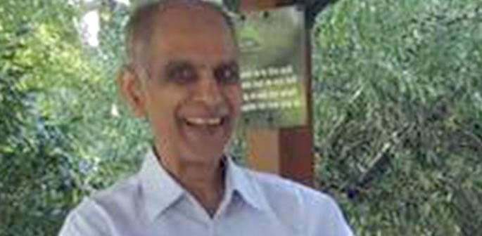 80-year-old Dog Walker 'Kicked to Death' by Gang of Youths f