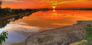 The History of the Sundarbans National Park - F