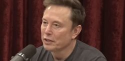 Elon Musk blasts ‘Hateful Racists’ amid H-1B Visa Row