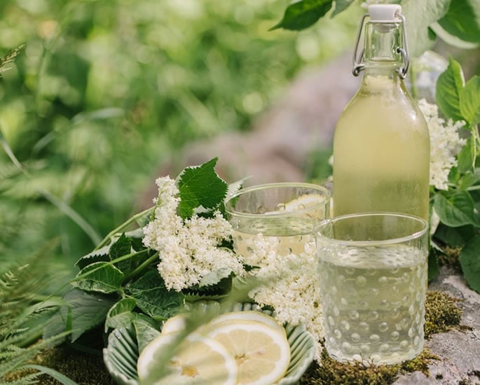 15 Food & Drink Trends Set to Dominate 2025 - botanical