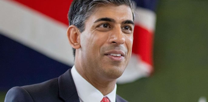 Rishi Sunak bags New Job in California f