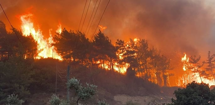 Wildfires break out in Murree & AJK Forests f