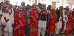 104 Pakistani Couples get Married in Mass Wedding