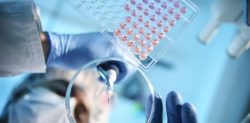 Can AI be used to Improve Blood Cancer Treatment?
