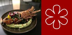Why does India Not Have Michelin Star Restaurants?