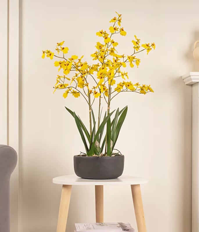 10 Easy Decor Buys to Instantly Refresh Your Home for Summer 8