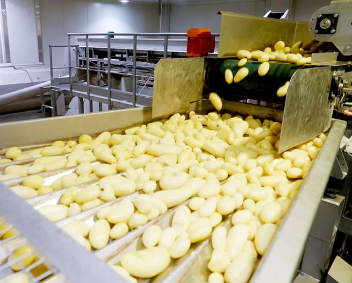 How French Fries Transformed Gujarat’s Farming Future - exports