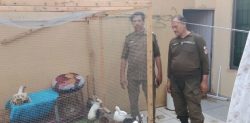 Pakistani Influencer arrested for Animal Abuse
