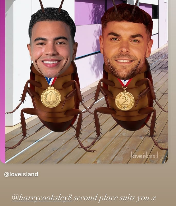 Love Island's Shakira takes swipe at 'Cockroach' Harry