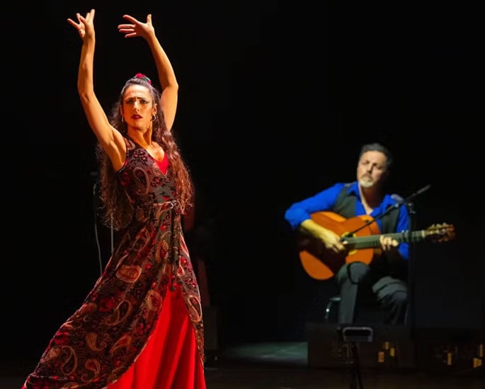 Flamenco and its Forgotten Indian Roots 3