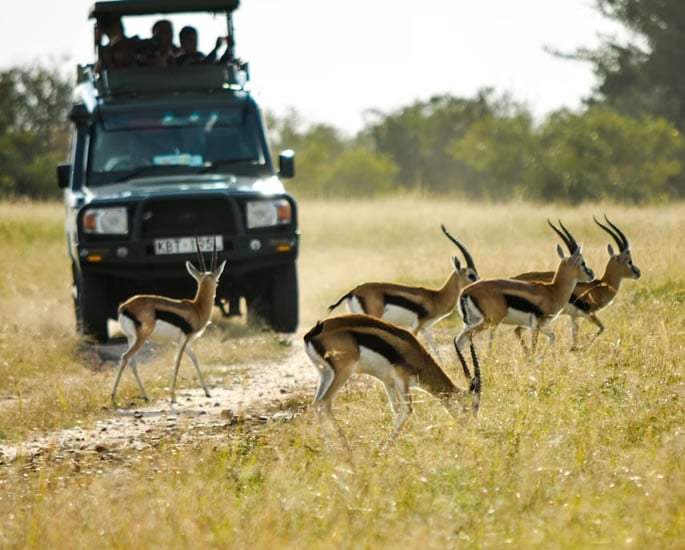Indian Tourists swap Beaches for African Safari Adventures 2