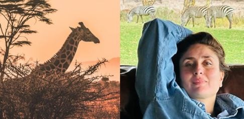 Indian Tourists swap Beaches for African Safari Adventures f