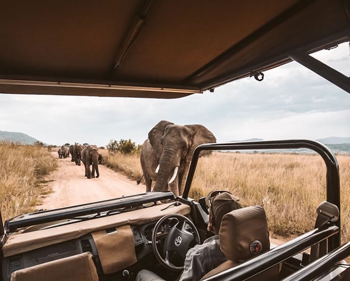 Indian Tourists swap Beaches for African Safari Adventures