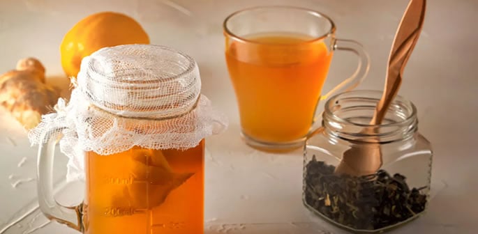 Is Kombucha Really Good for your Health f