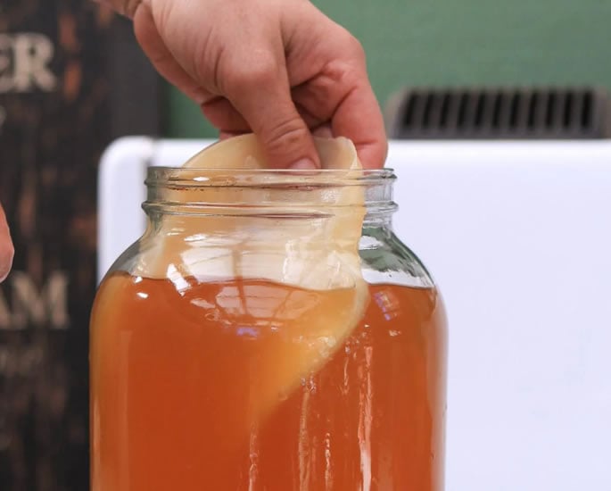 Is Kombucha Really Good for your Health - what