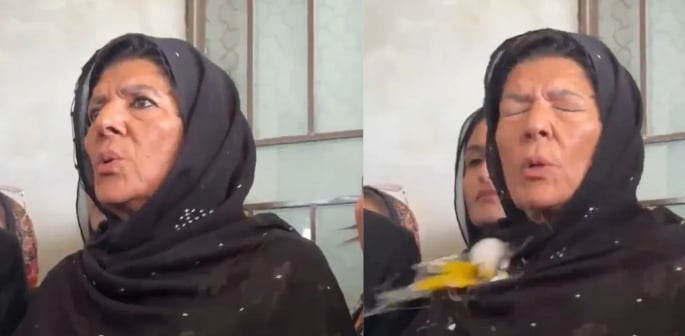 Two held for Throwing Eggs at Aleema Khan outside Adiala Jail f