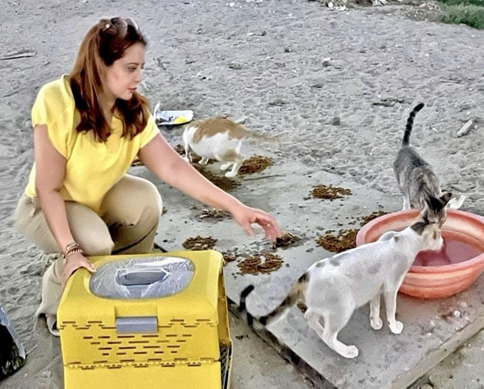 Chiku Singh talks Animal Welfare, Advocacy & Reform in the UAE 3