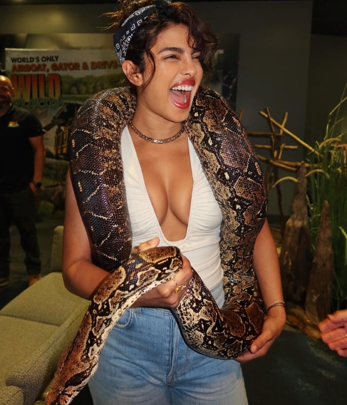 Priyanka Chopra Jonas is 'Ssssssubtle' in Snake Pictures - 1