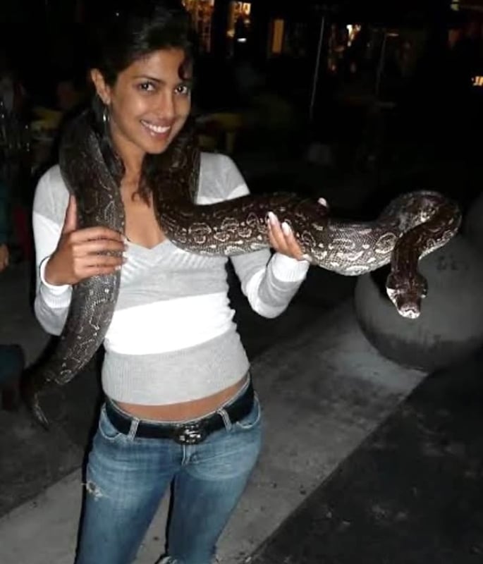 Priyanka Chopra Jonas is 'Ssssssubtle' in Snake Pictures - 3