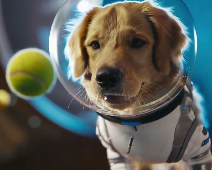 Sora The AI Video App Turning Faces Into Fun Content 2