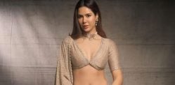 Why Sonam Bajwa Turned Down Bollywood Films Over Kissing Scenes Why Sonam Bajwa Turned Down Bollywood Films Over Kissing Scenes f