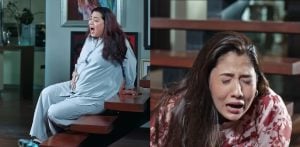 'Meri Bahuain' Sparks Backlash over Controversial Scenes f