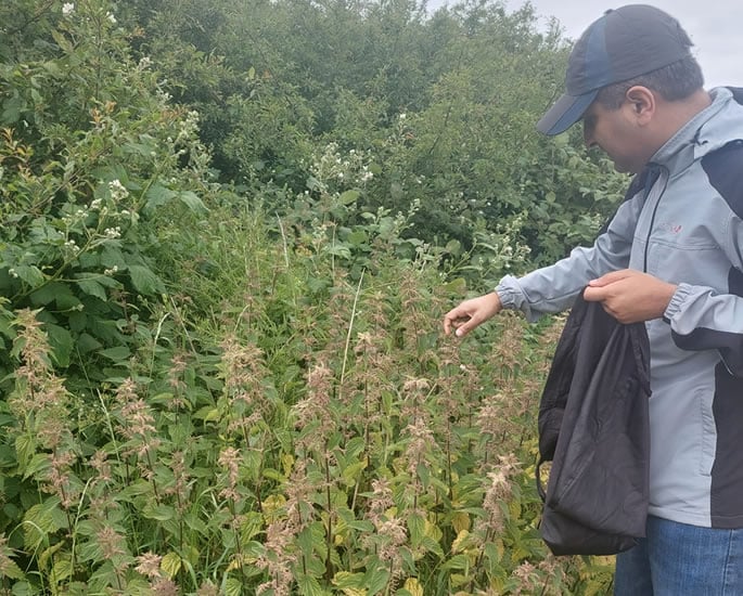 Saurav Sharma on 'Immigrant Time Tax', Digital Exhaustion & Presence 2