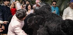Why Are Indian Weddings Hiring Dancing Gorillas?