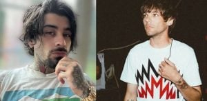 Netflix Series Axed after Zayn 'Punched' Louis Tomlinson in Face f