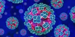 How Worried Should We be about Hantavirus?