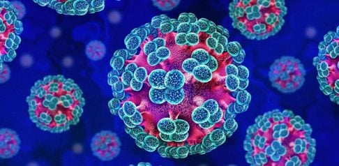 How Worried Should We be about Hantavirus f