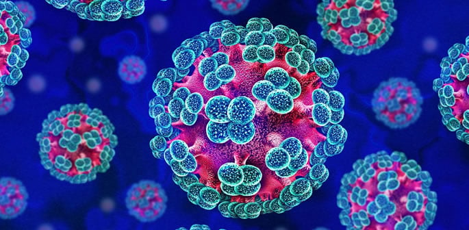 How Worried Should We be about Hantavirus f