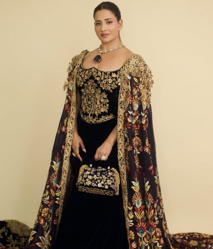 What South Asian Celebs wore to the Met Gala 2026 