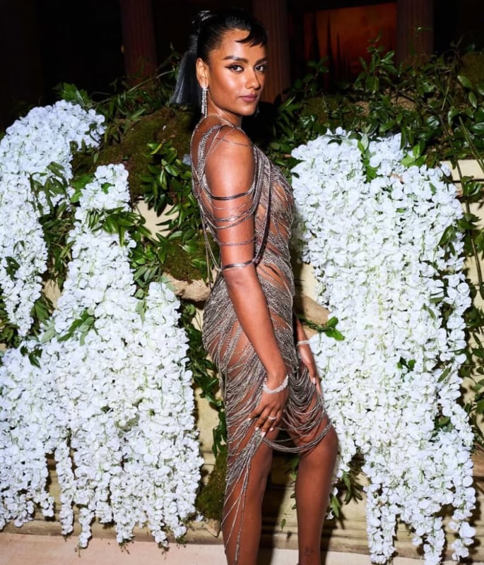 What South Asian Celebs wore to the Met Gala 2026 