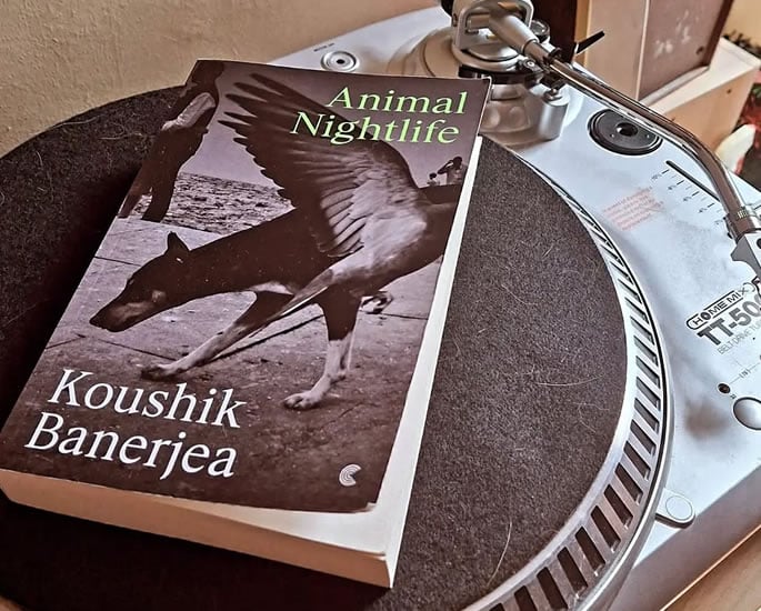 Koushik Banerjea talks 'Animal Nightlife', Racism & Modern Britain