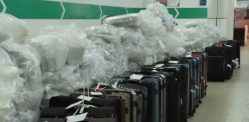 Gang paid Extra Baggage to smuggle £13.8m Cannabis into Birmingham Gang Smuggled £13.8m Cannabis Into Birmingham