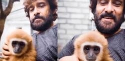 Vikram's Video with Lar Gibbon sparks Wildlife Probe Vikram's Video with Lar Gibbon sparks Wildlife Probe f