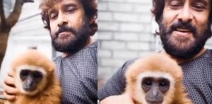 Vikram's Video with Lar Gibbon sparks Wildlife Probe f