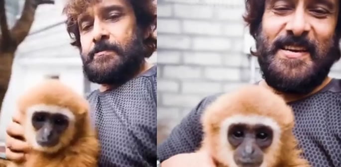 Vikram's Video with Lar Gibbon sparks Wildlife Probe f